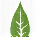 Health & Beauty icon